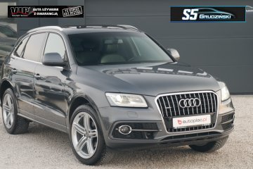 S-Line+Panorama+Led+Skora+Radar+Navi+FULL+SERWIS