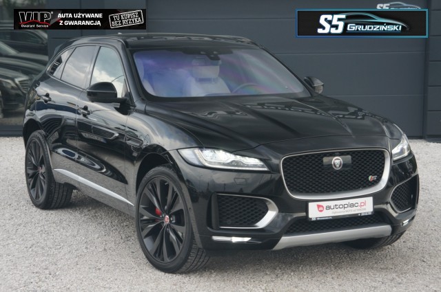 jaguar